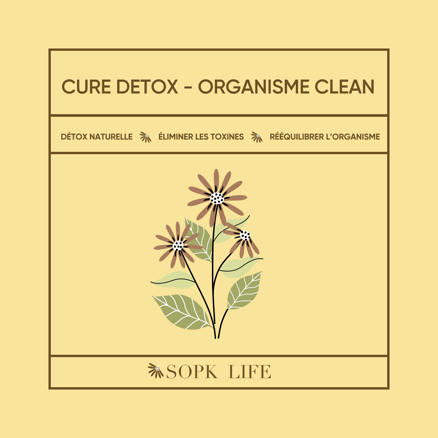 Cure Detox - Organisme clean