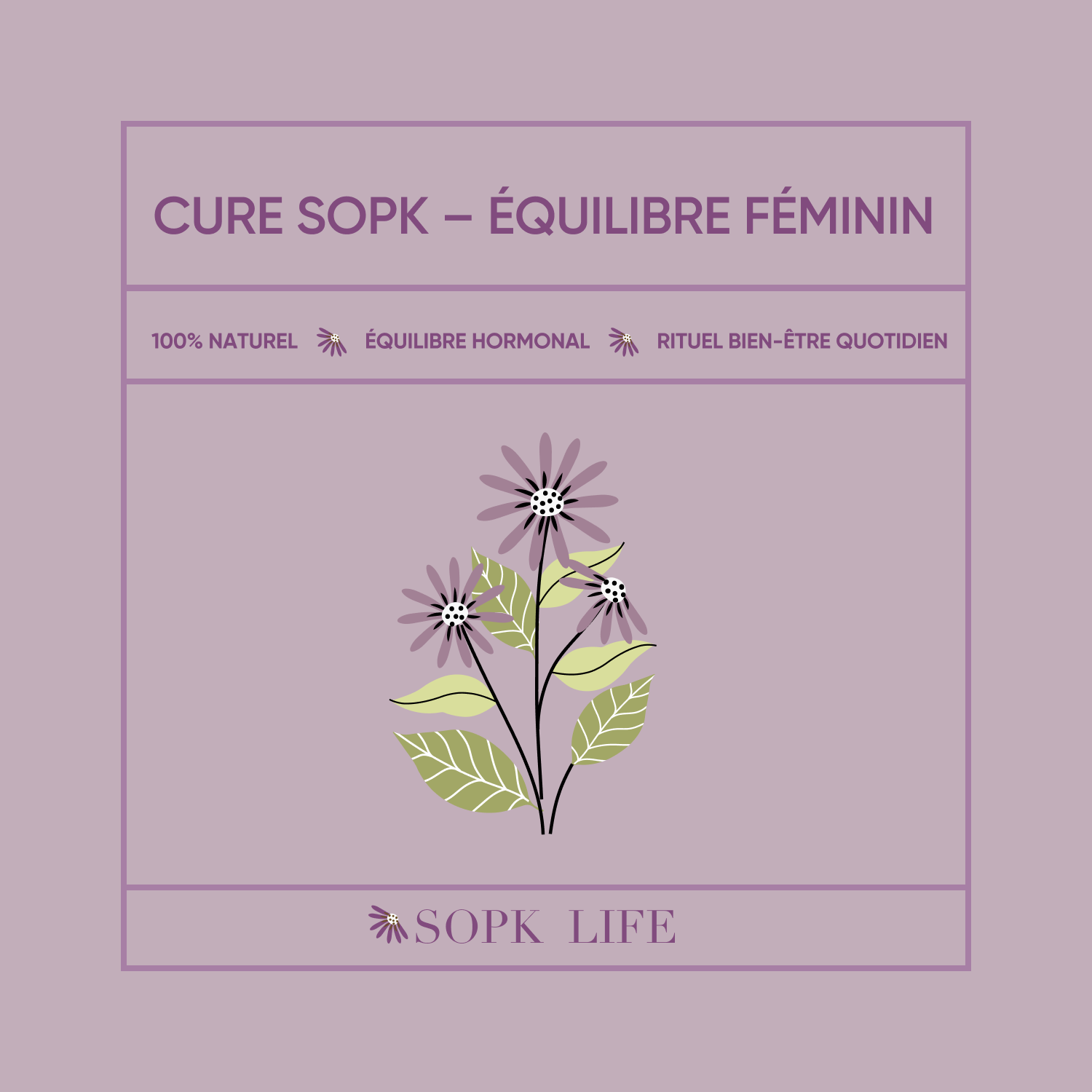 Cure SOPK – Équilibre féminin