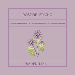 Rose de jéricho